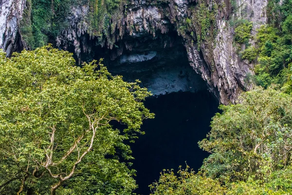 Caverna de veados Cliff Mulu National Park Borneo — Fotografia de Stock