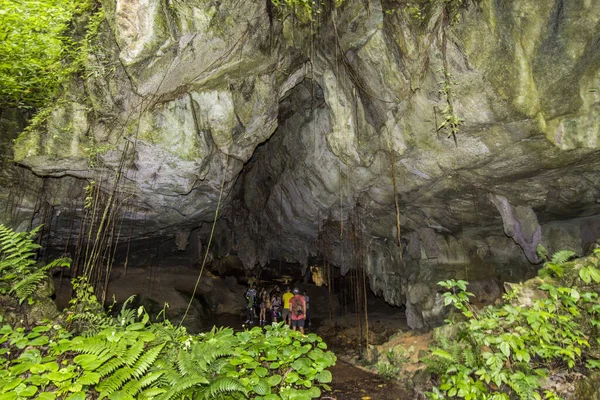 Cueva Lang en el Parque Nacional Mulu, Malasia — Foto de Stock