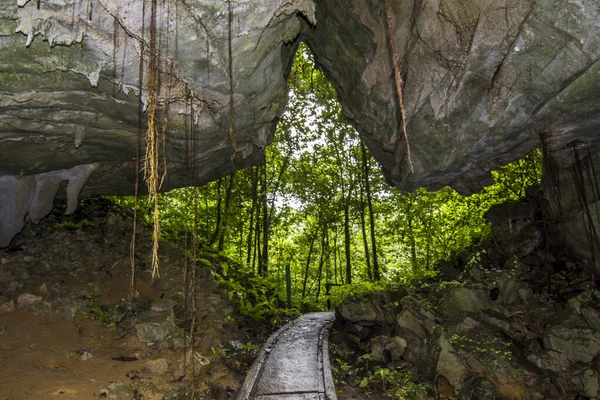 Cueva Lang en el Parque Nacional Mulu, Malasia — Foto de Stock