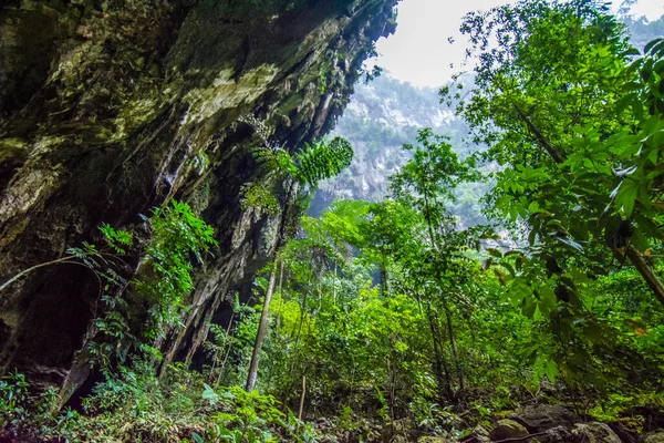 Cueva Los Ciervos Parque Nacional Mulu Borneo — Foto de Stock