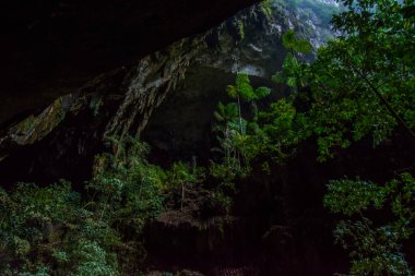 Geyik Mağarası - Mulu Ulusal Parkı - Borneo