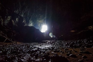 Geyik Mağarası - Mulu Ulusal Parkı - Borneo