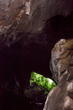 Geyik Mağarası Mulu Ulusal Parkı Borneo.