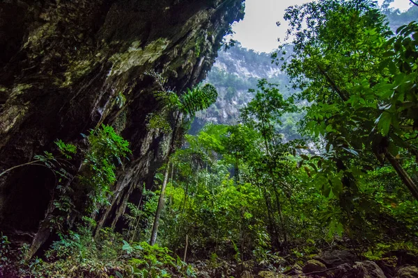 Cueva Los Ciervos Parque Nacional Mulu Borneo — Foto de Stock