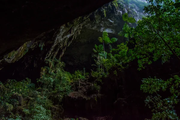 Cueva Los Ciervos Parque Nacional Mulu Borneo — Foto de Stock