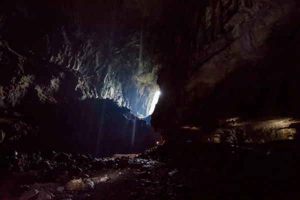 Caverna Veados Parque Nacional Mulu Bornéu — Fotografia de Stock