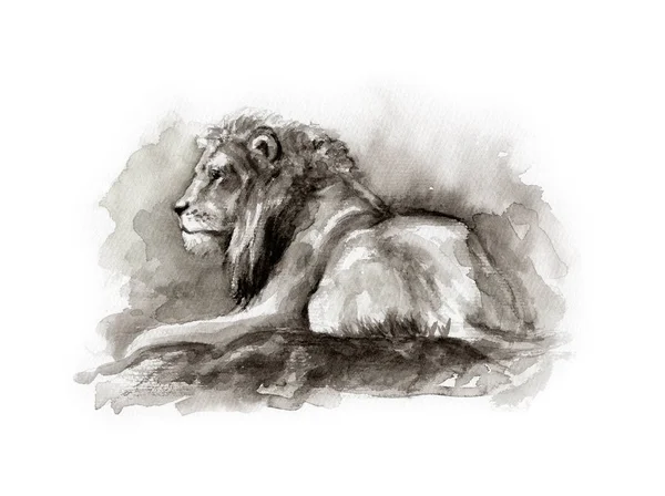 Watercolor Sketch Lion — Stock Photo, Image