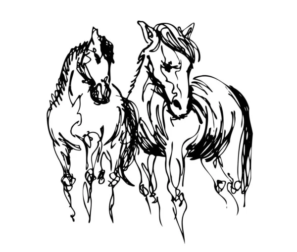 Hand Drawing Two Horses — Stock Vector