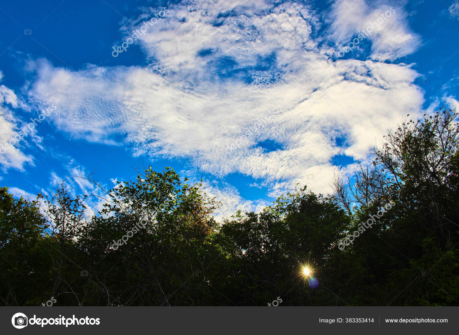 Céu do pôr do sol com nuvens noturnas como visão panorâmica hdri 360 sem  costura com zênite em formato equiretangular esférico para uso em gráficos  3d ou desenvolvimento de jogos como cúpula