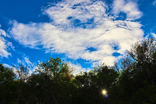 Jasne Niebo Wieczorem Światłem Słońca Świecącym Przez Krzaki Tworząc Jasne — Zdjęcie stockowe