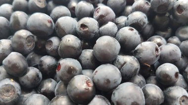 Olgun yaban mersininin böğürtlen dokusu