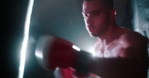 Mężczyzna kickboxing sportowiec ćwiczy jego ciosy na a worek bokserski — Wideo stockowe