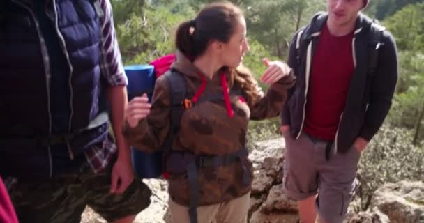 Amigos caminhantes na montanha discutindo sobre onde ir a seguir — Vídeo de Stock