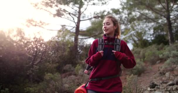Groep vrienden met rugzakken wandelen in een bos — Stockvideo
