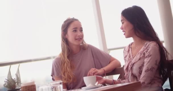 Mujeres jóvenes relajándose con una taza de café en el restaurante — Vídeo de stock