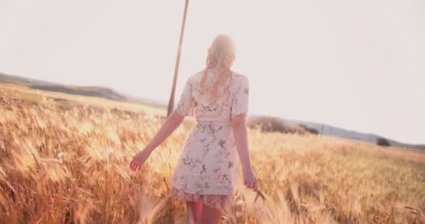 Retro woman walking in golden field of wheat at sunset — Stock Video