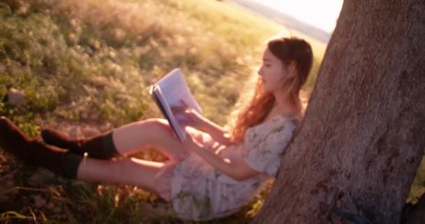 Chica de campo retro leyendo un libro sentado debajo de un árbol — Vídeo de stock