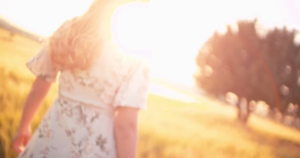 Jonge vrouw met blond haar lopen in een gouden veld — Stockvideo