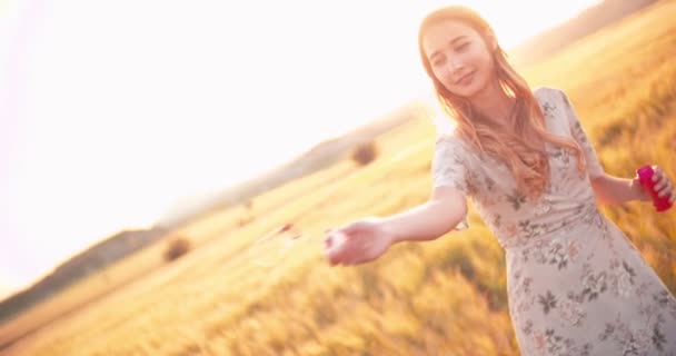 Retro woman blowing bubbles in field of barley at sunset — Stock Video