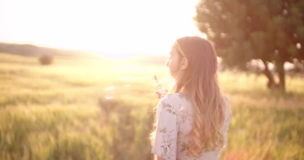 Beautiful country retro styled woman blowing bubbles in a field — Stock Video