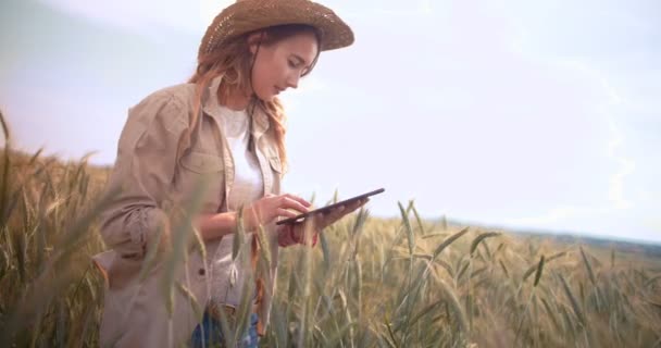 Agricultora con tableta digital comprobando el crecimiento de los cultivos — Vídeo de stock