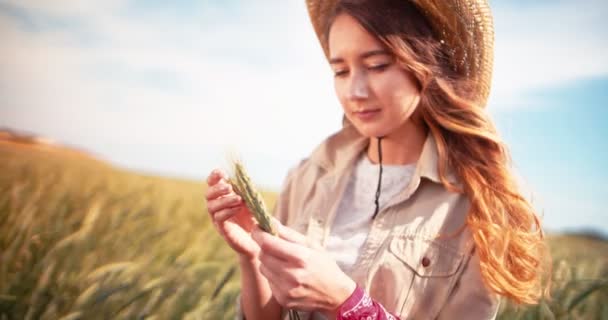 Campesina en un campo revisando el trigo para su crecimiento — Vídeos de Stock
