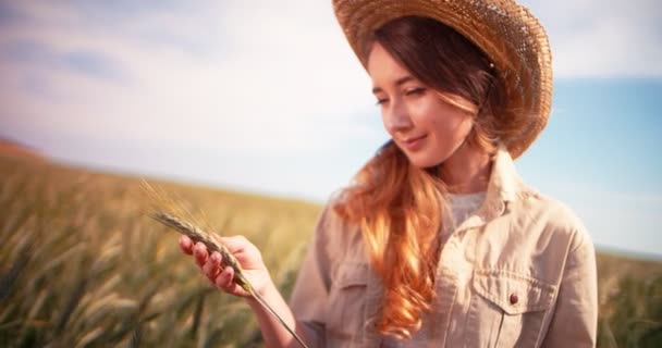 Kobieta rolnik sprawdzający pola uprawne pszenicy pod kątem wzrostu — Wideo stockowe
