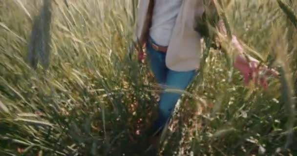Niña campesina caminando entre cultivos de trigo — Vídeo de stock