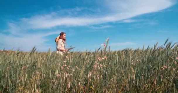 Landwirtschaftsinhaberin geht auf Feldern mit unreifem Weizen — Stockvideo