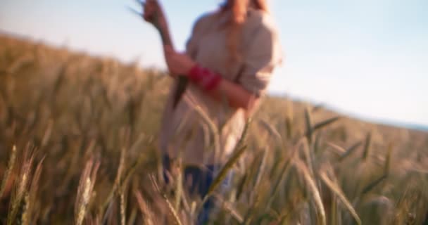 Agricultora en cultivos de cebada examinando el trigo para su crecimiento — Vídeo de stock
