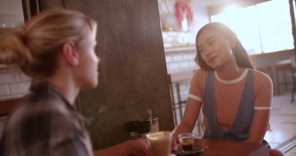 Unge, multietniske hipsterkvinner som snakker og drikker kaffe på kafeen – stockvideo