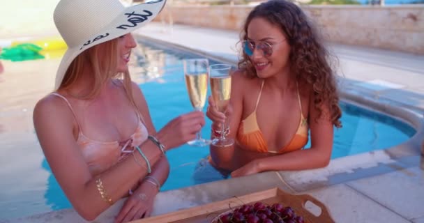 Multi-ethnic female friends in bikinis drinking champagne in the pool — Stock Video