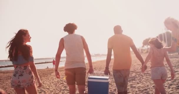 Jonge multi-etnische vrienden wandelen op het strand met koelbox — Stockvideo