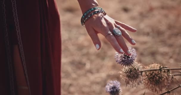 Primer plano de las mujeres hippies manos tocando flores silvestres en el campo — Vídeo de stock
