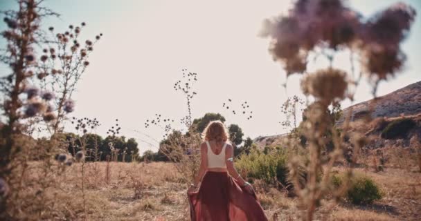 Jeune femme hippie marchant dans un champ de fleurs sauvages en automne — Video