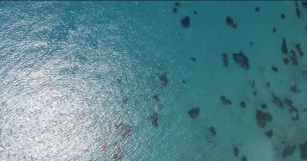 Aerial view of tropical island sea with coral reefs — Stock Video