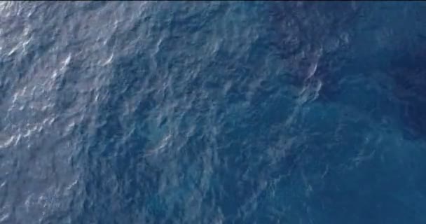 Aerial view of tropical island clear sea water — Stock Video