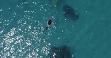 Dalgıcın deniz sularına dalışını yukarıdan izle