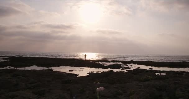 Drone view of woman standing with arms outstretched at beach — Stock Video