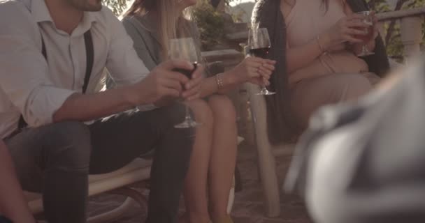 Jonge elegante vrienden drinken wijn en bier op het platteland cottage — Stockvideo
