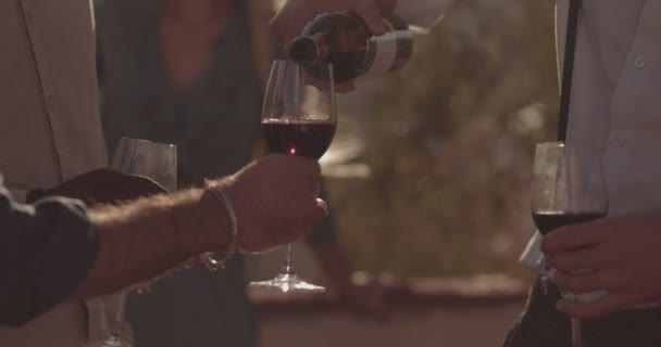 Şarap mahzeninde çok ırklı dostlara kırmızı şarap servisi yapan genç adam. — Stok video