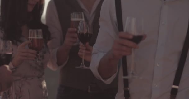 Amici multietnici brindano con vino e birra alla festa rustica — Video Stock