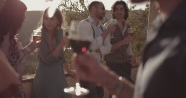 Kırsal bölgede şarap ve bira içen çok ırklı genç arkadaşlar.