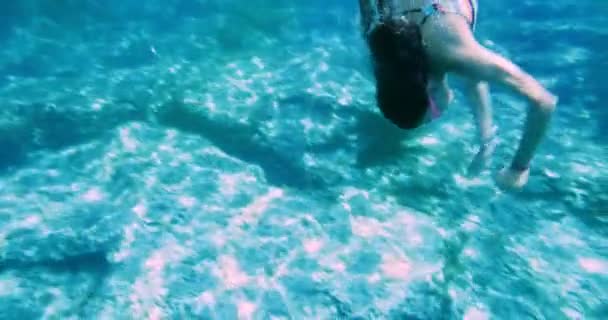 Mujer joven buceando bajo el agua en la laguna de arrecifes de coral — Vídeos de Stock