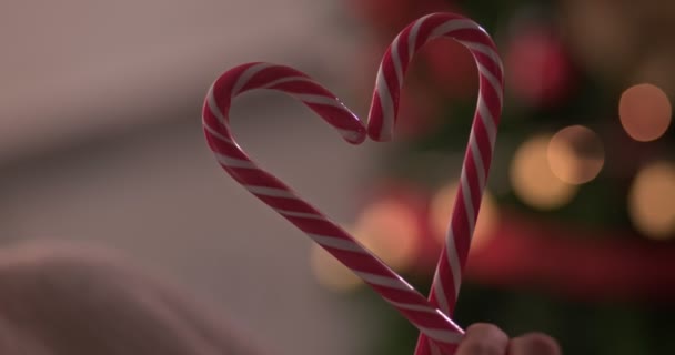 Couple avec des cannes de bonbons s'embrassant devant l'arbre de Noël — Video