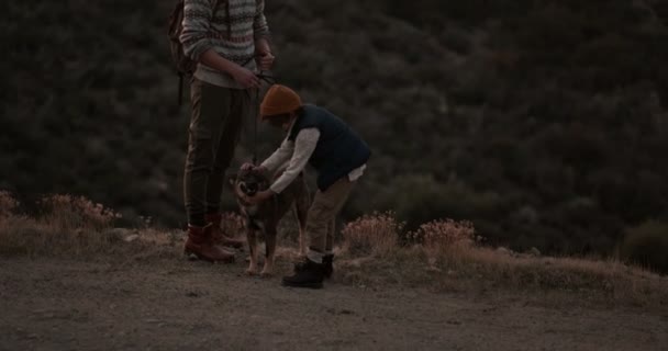 Jonge vader en zoon wandelaars aaien hond op de bergen — Stockvideo