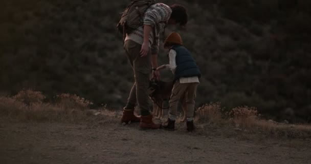 Jonge vader en zoon wandelaars aaien hond op bergtop — Stockvideo