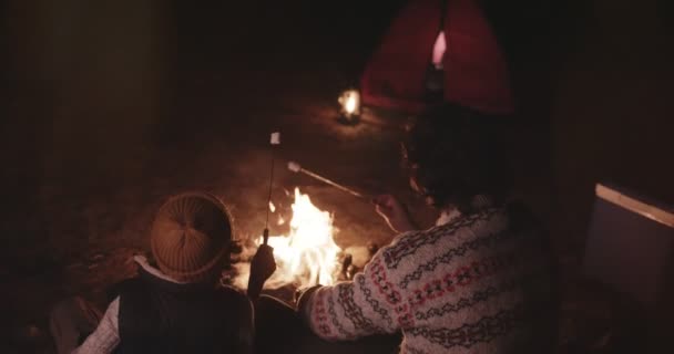 年轻的父亲和儿子坐在篝火边烤棉花糖 — 图库视频影像