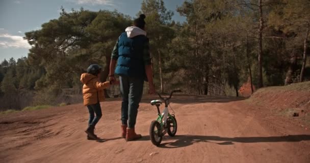 Baba oğul doğada yürüyorlar ve bisiklet taşıyorlar. — Stok video
