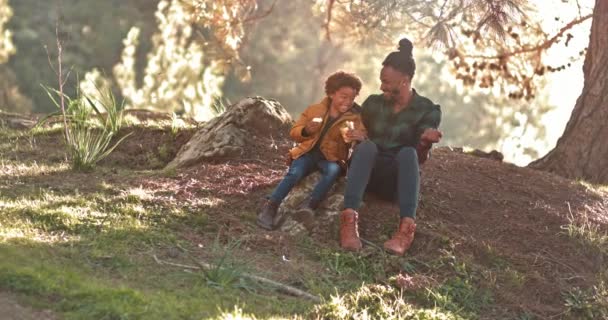 Hipster padre e hijo divertirse picnic en la naturaleza — Vídeo de stock